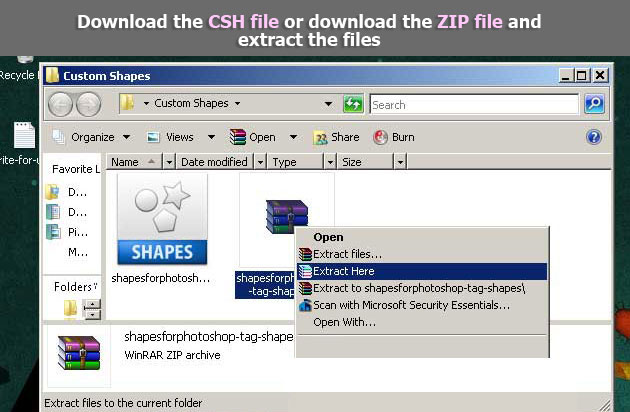 download and extract CSH files