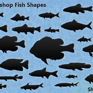 30 Photoshop Fish Shapes Natural Fish