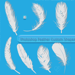 Feather Shapes